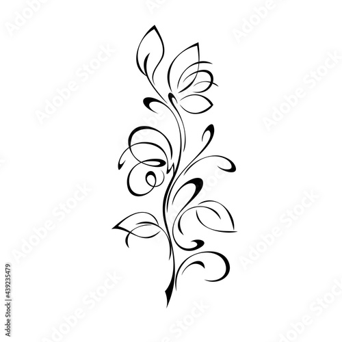 ornament 1808. decorative twig with stylized flowers, leaves and curls in black lines on a white background