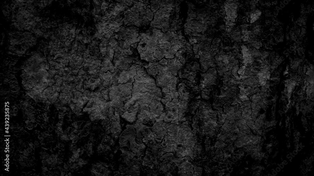 Fototapeta premium Black tree bark background Natural beautiful old tree bark texture According to the age of the tree with beautiful bark during the summer 