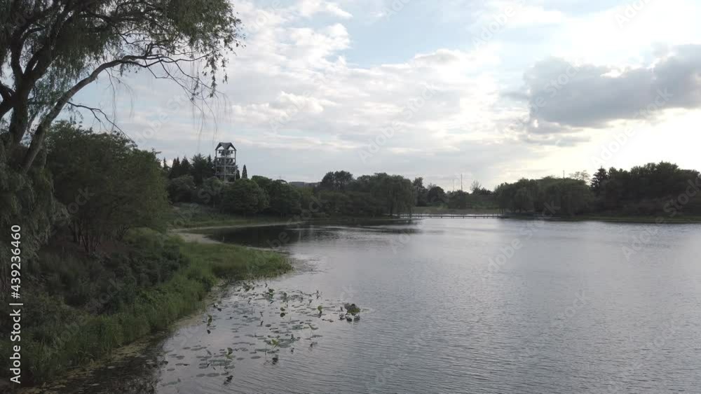 Landscape shot of Willow tree and pond on a bright cloudy day Landscape shot of Willow tree and pond on a bright cloudy day
