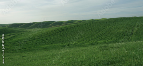 Wide field hills © PX