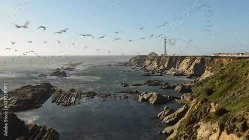 Timelapse - Time Echo Effect Bird Trails In Flight photo