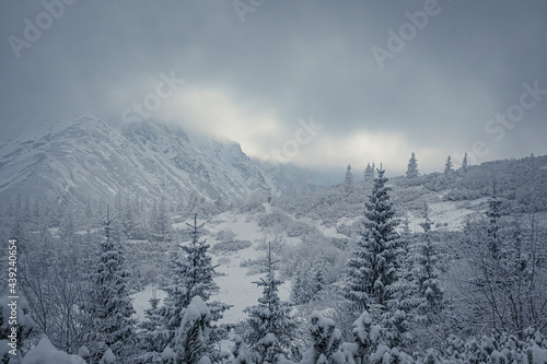 Dramatic sky over the peaks of High Tatras, Poland. Dark December in the national park. Snow covering the valley. Selective focus on the trees, blurred background.