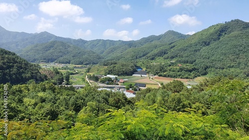한국 시골
