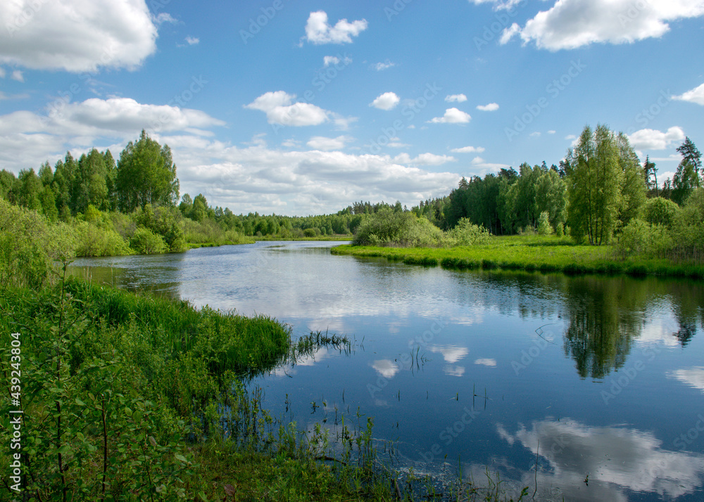 summer landscape from the river, cloud reflections in the water, green trees and grass on the river banks, Sedas River, Latvia