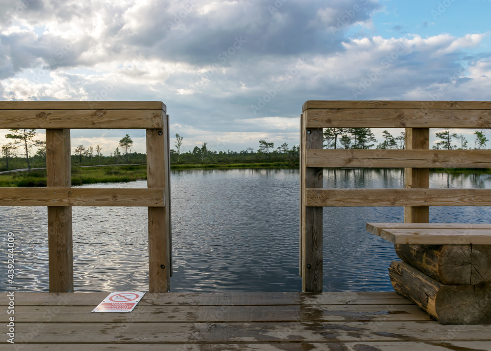 landscape from the bog, in the foreground a wooden platform for swimmers in the bog lake, in the background the bog on the shore of a pine lake, a traditional bog lake in Estonia, Soma National Park landscape from the bog, in the foreground a wooden platform for swimmers in the bog lake, in the background the bog on the shore of a pine lake, a traditional bog lake in Estonia, Soma National Park