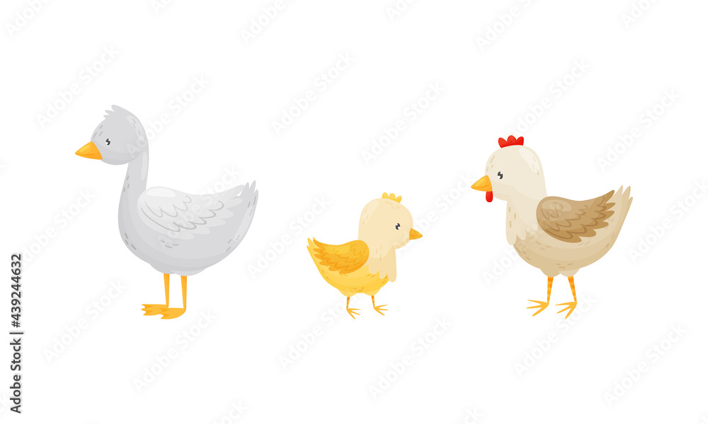 Hen with Yellow Chick and Goose as Farm Animal Vector Set