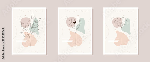 Collection of contemporary flower posters. Hand drawn abstract botanical elements. Minimal interior design and natural wall art. Modern vector illustration.