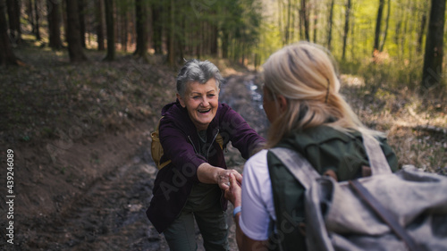 Senior women hikers outdoors walking in forest in nature  helping each other.
