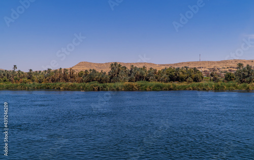 Panoramic view of fertile vegetation along the banks of the Nile River near Edfu  Egypt