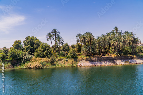 Panoramic view of fertile vegetation along the banks of the Nile River near Edfu  Egypt
