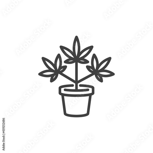Growing marijuana plant line icon