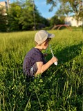 Little boy on a green meadow