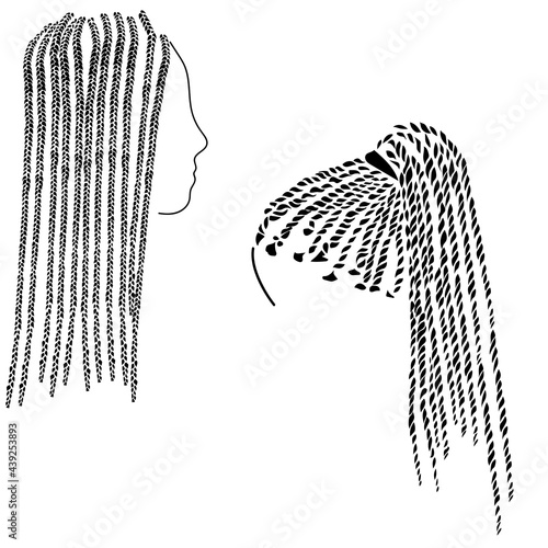 Small braids in afro style on long hair silhouette, two options for hairstyles with braiding