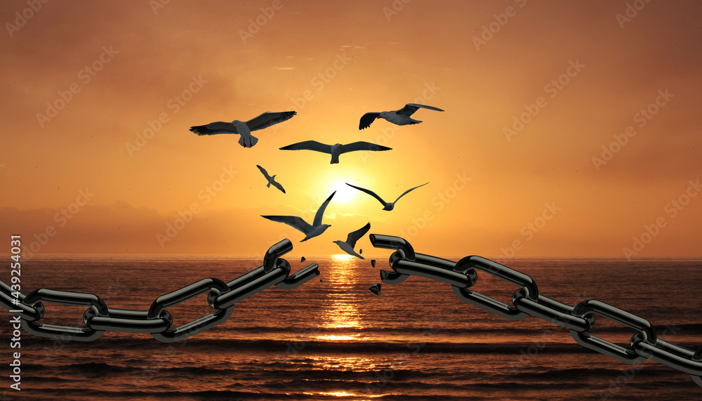 Freedom Concept Sea Birds broken The Chain and Flying Away. Chains