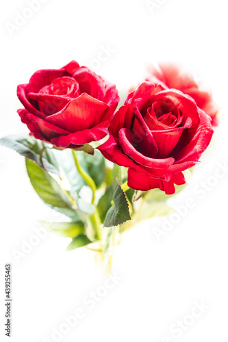 Heart-shaped bouquet of red roses on a white background