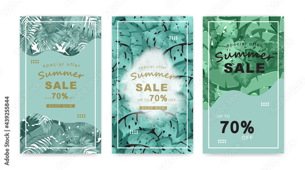 Summer banner template with Tropical leaves.