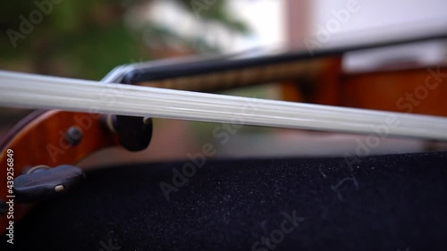 violino. corda. dettaglio violino, musica, 