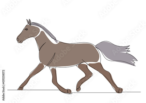 brown horse drawing by one continuous line  isolated