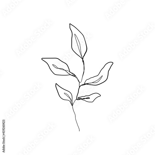 One Line Drawing Vector Leaves Branch. Botanical Modern Single Line Art, Aesthetic Contour. Perfect for Home Decor, Wall Art, Posters, Tote bag or T-shirt Print, Sticker, Mobile Case, Social Media.