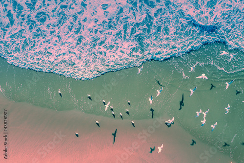 Seascape with seagulls on sandy beach at sunset, sand and waves, top view, abstract nature landscape background