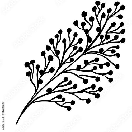 Doodle illustration of outline flower, leaves. Floral graphics