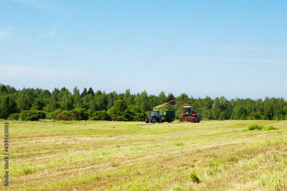 Naklejka premium Hay harvesting in the field. 
