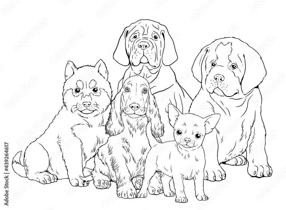 Obraz premium Saint Bernard, Siberian Husky, Mastiff, Chihuahua, сocker spaniel puppy. Cute dogs puppies. Coloring template. Digital illustration. 