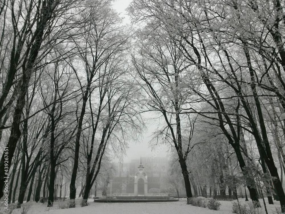 Mirror Stream Fountain in Kharkiv at winter Mirror Stream Fountain in Kharkiv at winter