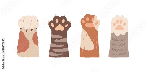 Cute cat paws with claws and soft pads. Set of funny raised up foot of kittens. Sweet kitties giving high five. Colored flat vector illustration of kawaii animal palms isolated on white background photo