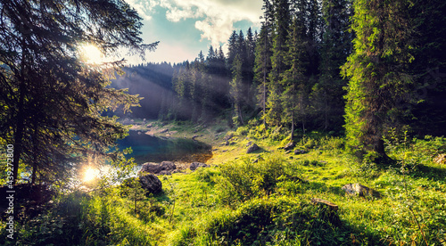 Fantastic Sunny landscape in forest near mountain lake. Amazing nature landscape. View on Fairy tale forest under sunlight. Anazing natural background. Picture of wild nature photo