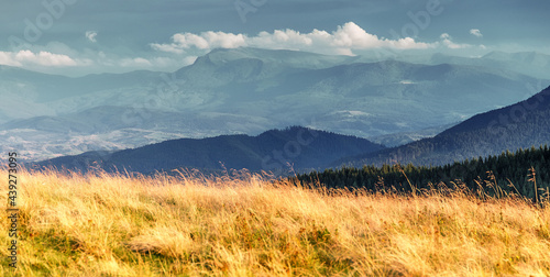 Vivid mountain landscape. Panorama of beautiful countryside of Carpathian mountains, Ukraine. Grassy field and Majestic mountains on background. Amazing nature scenery. Beautiful Summer wallpaper