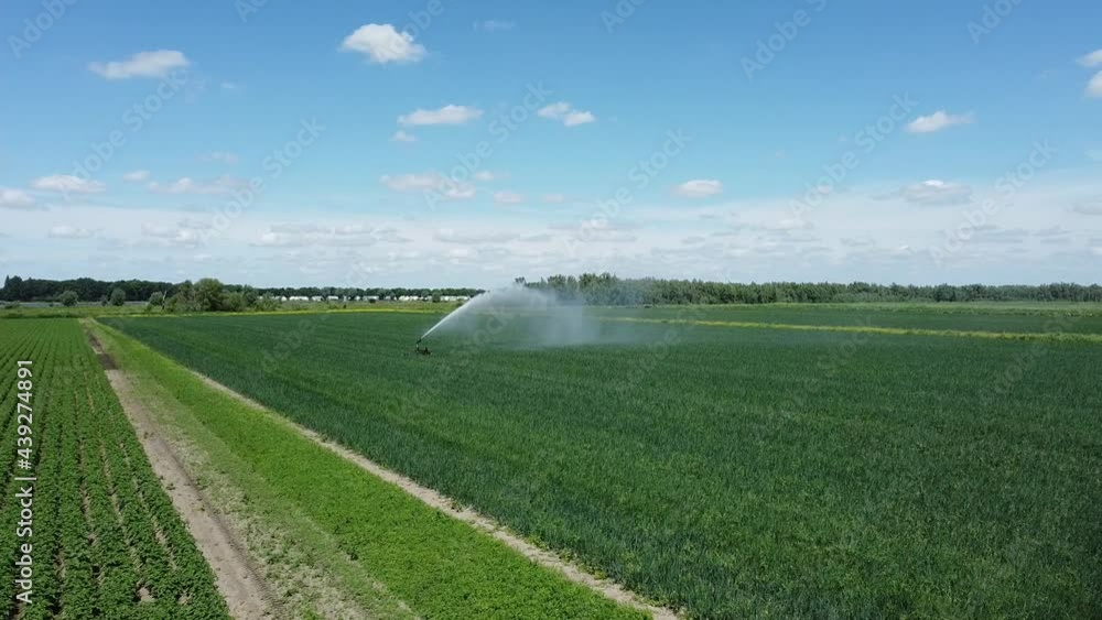 Fly to an irrigation sprinkler or sector sprinkler spraying the crops Fly to an irrigation sprinkler or sector sprinkler spraying the crops