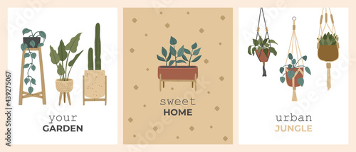 Flower in hanging pot, tropic  handmade macrame hanger. Ficus, cacti set of indoor posters, greeting card or print, home potted plant. Vector illustration in boho, flat style isolated on background
