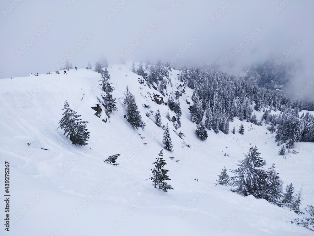 snow covered mountains