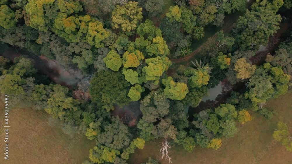 Narrow Stream River In Shaggy Forest Hills At Nauyaca Waterfalls In Costa Rica. - Aerial Tracking Shot Narrow Stream River In Shaggy Forest Hills At Nauyaca Waterfalls In Costa Rica. - Aerial Tracking Shot