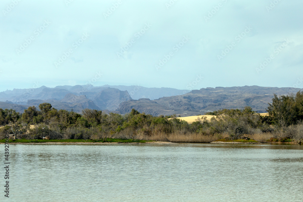 Lagoon in Maspalomas seen from the promenade. Lagoon in Maspalomas seen from the promenade.