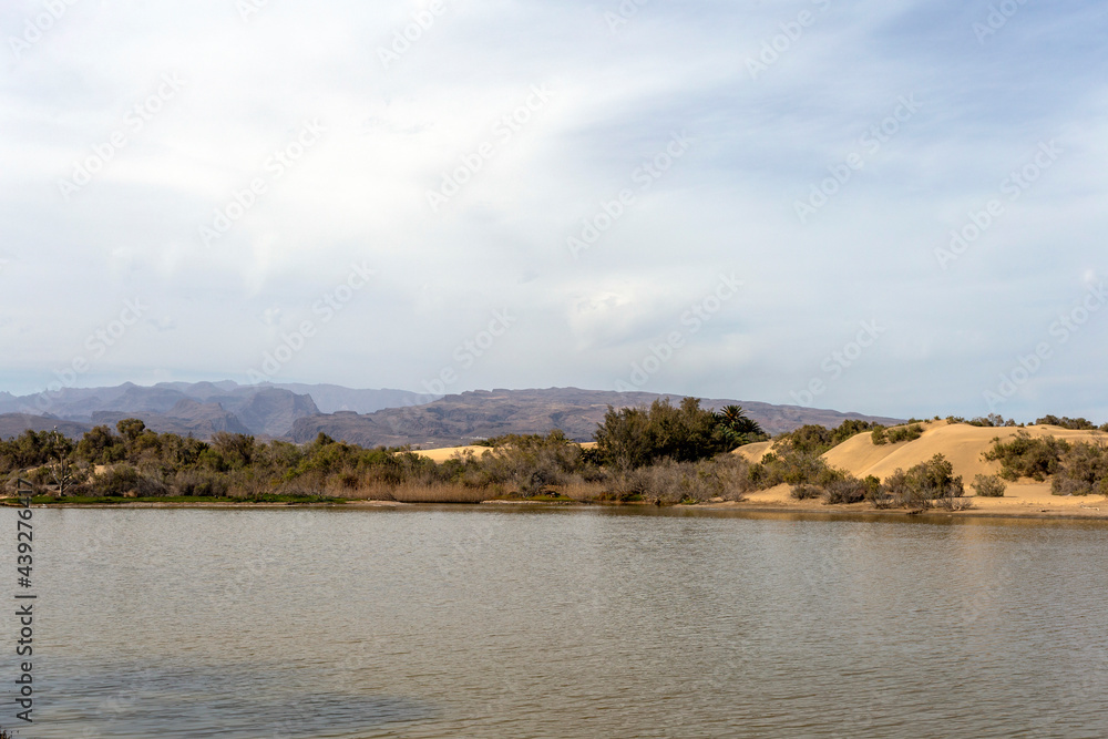 Lagoon in Maspalomas seen from the promenade. Lagoon in Maspalomas seen from the promenade.