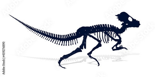 The Skeleton of ancient big dinosaur.