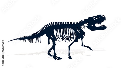 The Skeleton of ancient big dinosaur. © designer_an