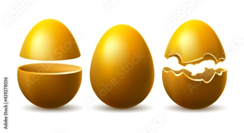Golden eggshell illustration