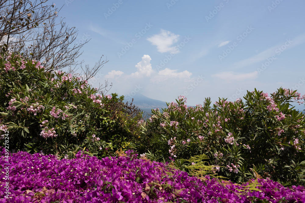 La veduta del Vesuvio a Napoli con i fiori