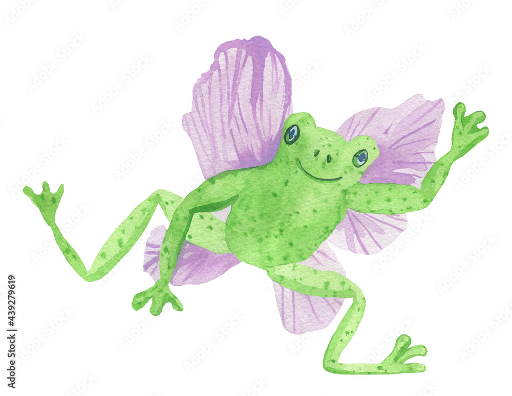 Fototapeta premium Watercolor cute green fairy frog with wings isolated background. Mystical illustration for halloween hand painted. Design for social media, cards, packaging, sticker, invitation card, web,print.