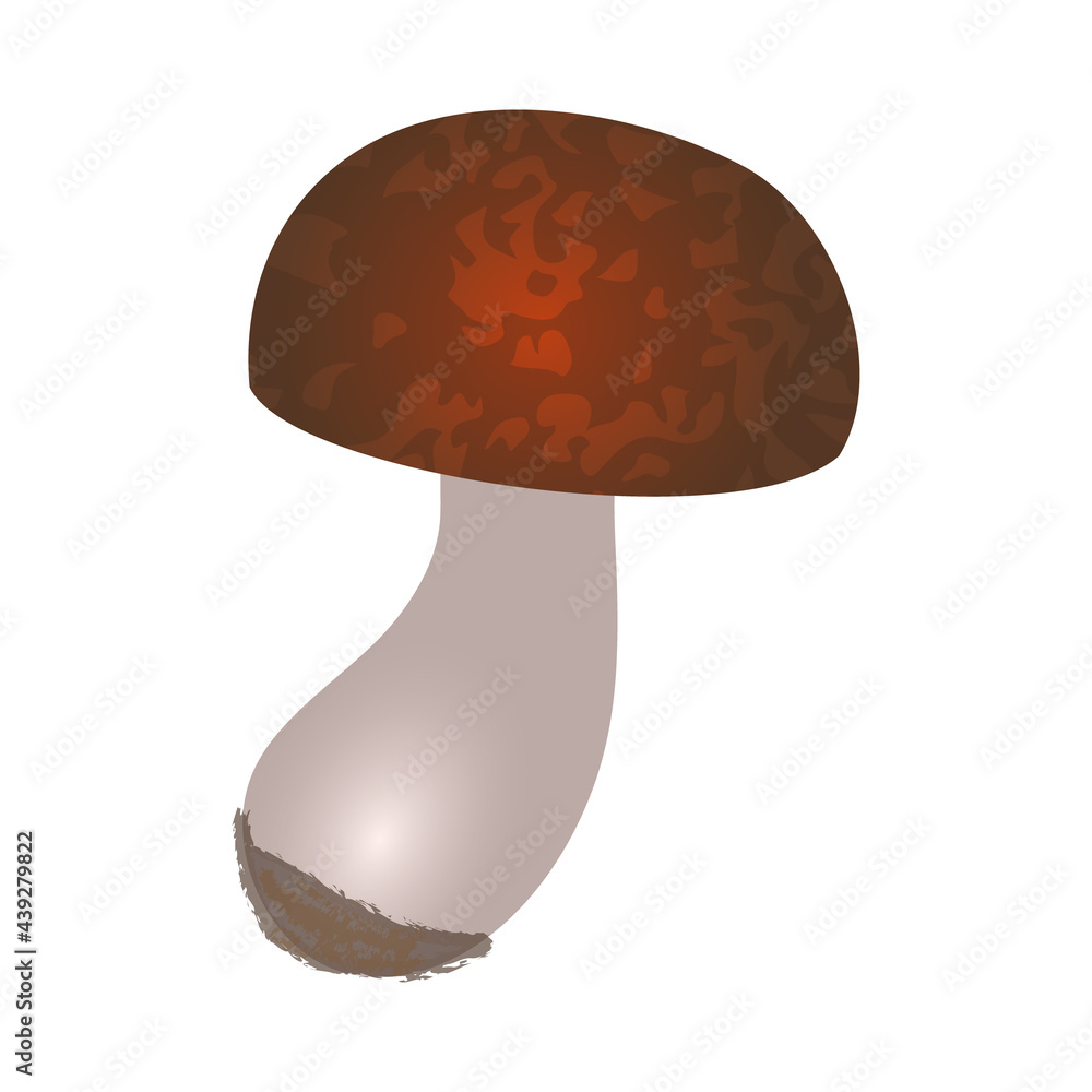 Flat art mushroom with a round spotted brown cap and white leg with black soil on its end isolated on white background Flat art mushroom with a round spotted brown cap and white leg with black soil on its end isolated on white background