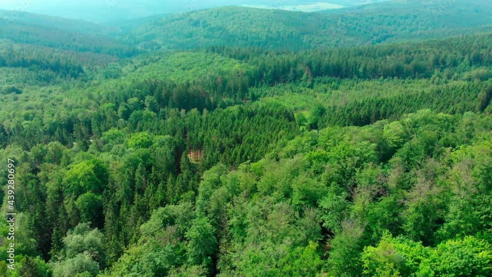 drone aerial flight over lush green summer forest and mountain landscape drone aerial flight over lush green summer forest and mountain landscape