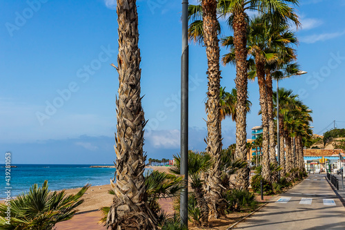Views of the beach and promenade of Villajoyosa with its palm trees in the foreground. photo