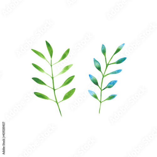 Colorful watercolor leaves isolated on a white background. 2 green and blue floral objects for your design. Tropical branches illustration. Bright exotic plants.