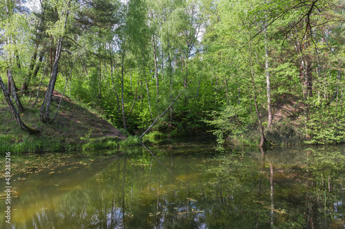 Small shallow forest lake partly overgrown in early summer