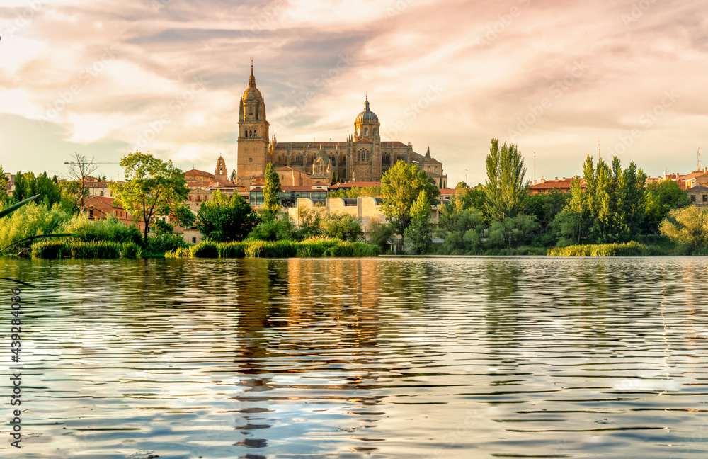 Cathedral of Salamanca in Spain