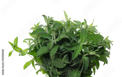 Fresh mint leaves isolated on white background, clipping path, herbal plant