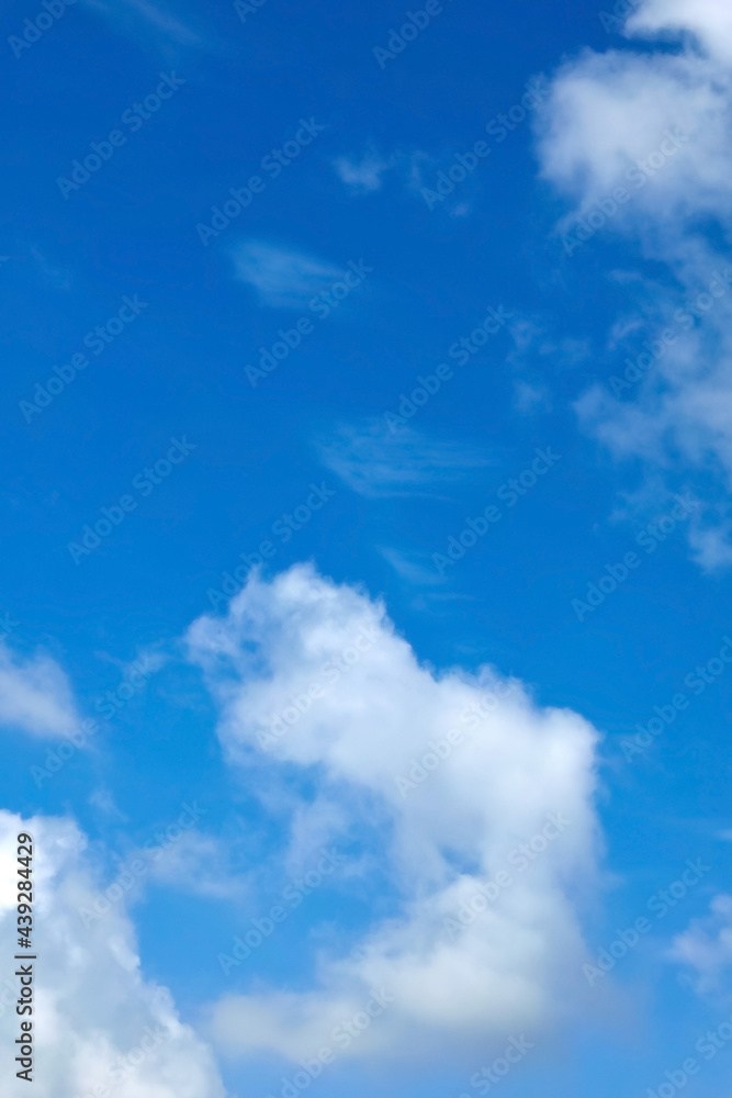Fototapeta premium 空の風景(青空) 風に流される雲と青空